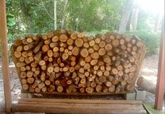 a pile of logs sitting on top of a wooden bench in front of some trees