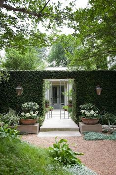 an entrance to a house with potted plants