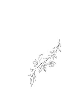 a black and white drawing of leaves on a branch