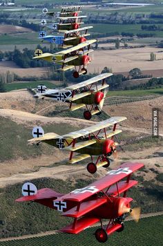 four red and yellow biplanes flying in the sky over farmland land with trees on either side