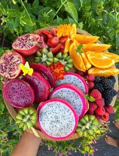 a person holding a plate full of fruit