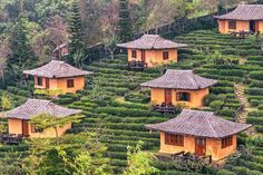 Ban Rak Thai Chinese Village on Border of Northern Thailand and Myanmar stock photo Motorcycle Trip, Mae Hong Son, Motorcycle Travel, Northern Thailand, Burmese, Myanmar, Photo Image, Thailand