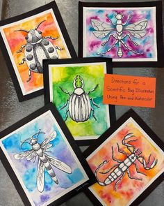 four different colored cards with bugs and bees on them, one has an orange tag that says directions for a scientific bug illustration using watercolor