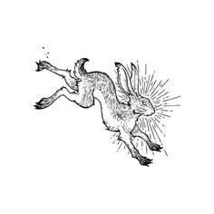 a black and white drawing of a dog flying through the air