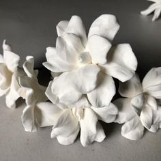 White ivory gardenia pins White flower Formal bridal hair | Etsy Air Dried Clay, Beach Wedding White, Gardenia Flower, Hair Pick, Mint Earrings, Wedding Barrettes, White Gardenia, Flower Picks, Hair Jewellery