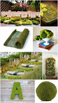 moss covered tables and chairs are arranged around the letter'a'in different ways