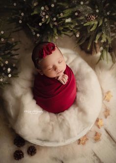 a newborn baby wrapped in a red blanket sleeping under a christmas tree with pine cones