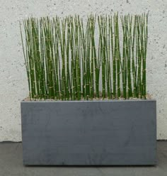 a planter with grass growing out of it's sides in front of a concrete wall