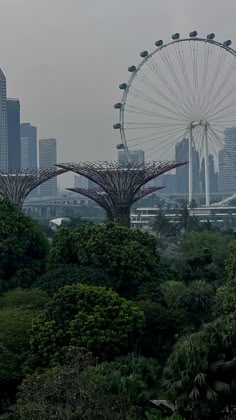 a ferris wheel in the middle of a city with tall buildings and trees around it