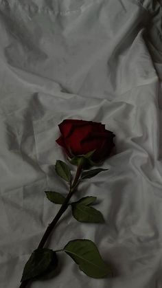 a single red rose laying on top of a white sheet