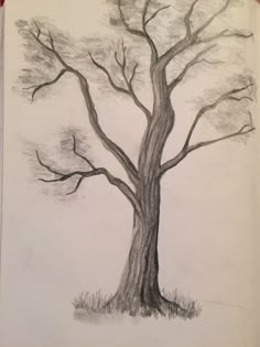 a drawing of a tree with no leaves