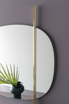 there is a mirror and a plant on the shelf in front of it with a purple wall behind it