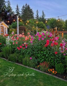 a garden filled with lots of flowers next to a lush green park covered in lights