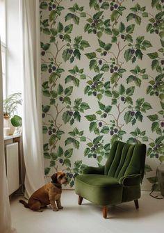 a dog sitting in front of a green chair next to a wall with grapes on it