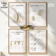 four framed pictures with gold foil detailing the hair and beauty products in each frame, on a white wall