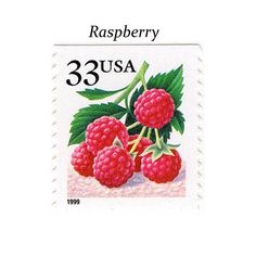 a stamp with raspberries on it