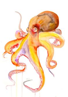 an octopus is painted with watercolors on white paper