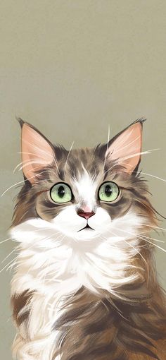 a close up of a cat with green eyes and long hair, looking at the camera