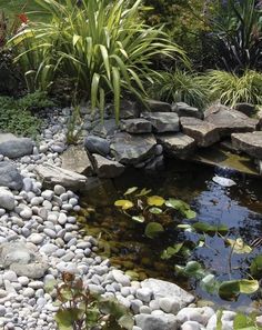 there is a small pond in the middle of this garden with rocks and water lilies