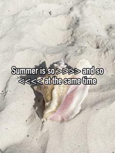 an open shell with the words summer is so and so, at the same time