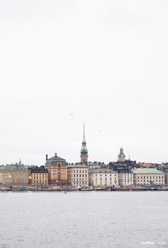 a large body of water with buildings in the background