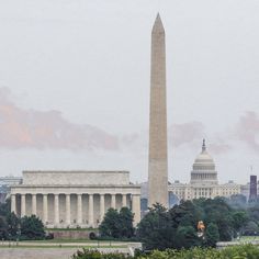 the washington monument in front of the capitol building with trees and bushes around it on a foggy day