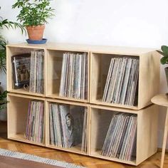 a shelf filled with lots of records next to a potted plant