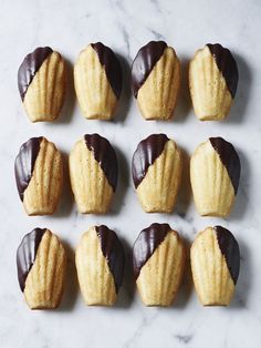 chocolate covered cookies arranged on a marble surface