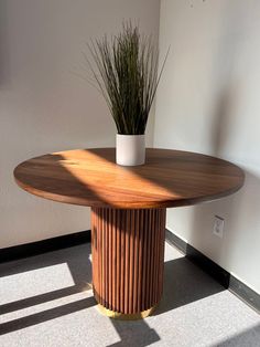 a potted plant sitting on top of a wooden table next to a white wall