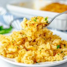 a fork full of macaroni and cheese is being lifted from a white plate