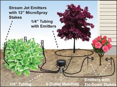 the diagram shows how to plant trees in an area that is under water and dirt