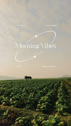 an image of a farm field with the words morning vibes on it