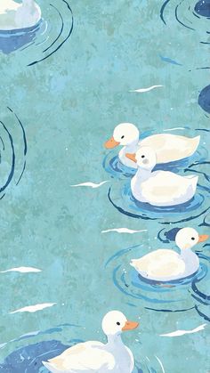 three white ducks floating on top of a body of water