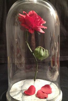 a red rose is under a glass dome