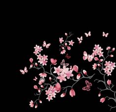 a black background with pink flowers and butterflies on the branches, all in different colors