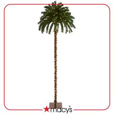 a tall palm tree with lights on it's trunk is shown in front of a white background