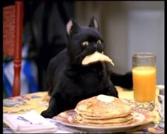 a black cat sitting at a table with pancakes and orange juice