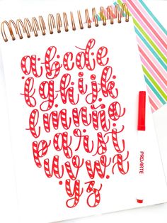 a notebook with red lettering on it next to a pen and paper clippings