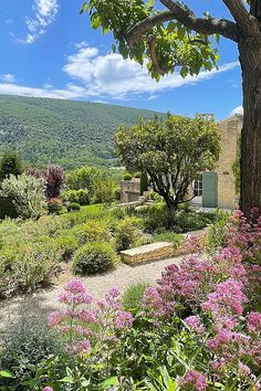 Villa Stella, un havre de paix au cœur de la Provence à Bonnieux. Découvrez ce joyau de l'hôtellerie de luxe, alliant élégance et raffinement. Passez un séjour inoubliable dans cet écrin de verdure, à quelques pas des charmants villages provençaux. Laissez-vous séduire par l'atmosphère envoûtante de Villa Stella. #Provence #Bonnieux #luxurytravel #hôteldecharme #voyagedeluxe