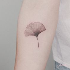 a single leaf tattoo on the left arm