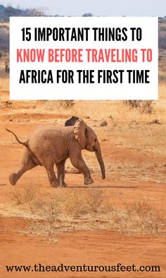 an elephant walking across a dirt field with the words 15 important things to know before traveling to africa for the first time