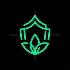 a green leaf logo on a black background