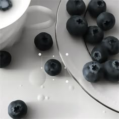 some blueberries are on a white plate