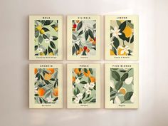 four framed art prints with oranges, lemons and other flowers on green background