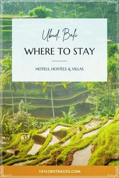 the words where to stay in bali with rice terraces and palm trees