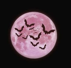 a full moon with bats flying over it