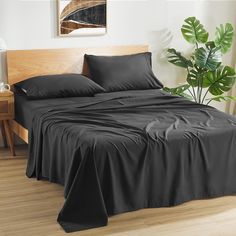 a bed with black sheets and pillows in a room next to a potted plant