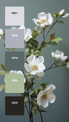 white flowers with green leaves in a vase on top of a gray background, color swatches