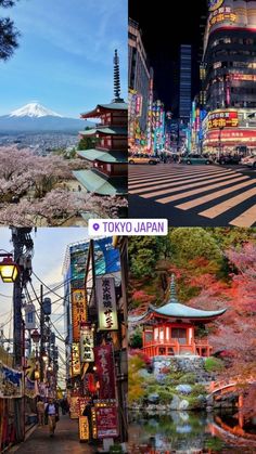 there are many different pictures in this collage that show the city and its colorful trees