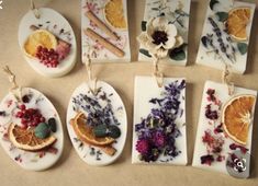 nine dried fruit and flowers are hanging from strings on white plates, with small tags attached to them